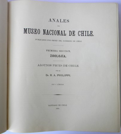 1029