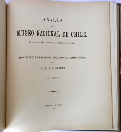 1038
